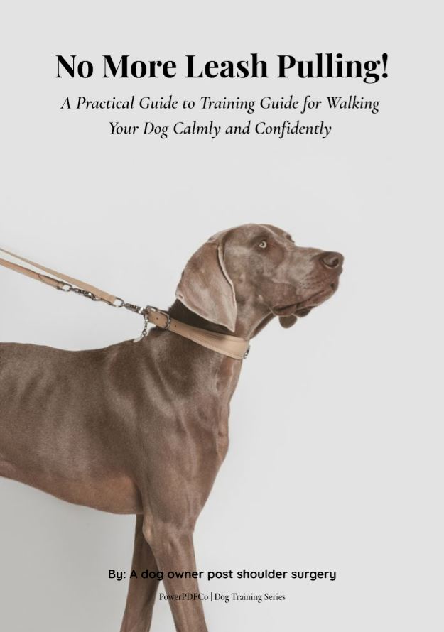 No More Leash Pulling – A Practical Guide to Walking Your Dog Calmly and Confidently