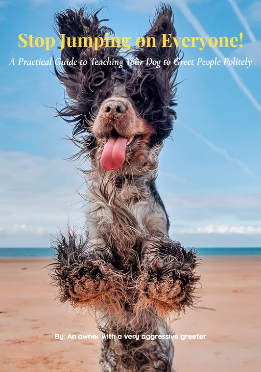 Stop Jumping on Everyone! – A Practical Guide to Teaching Your Dog to Greet People Politely